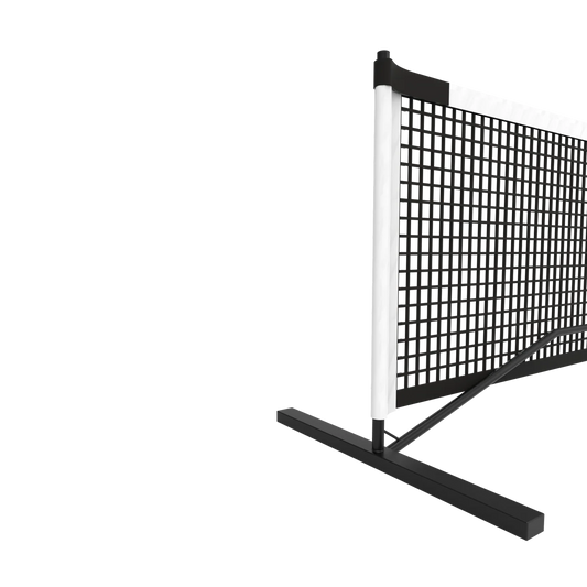 PORTABLE DRIVEWAY PICKLEBALL SYSTEM