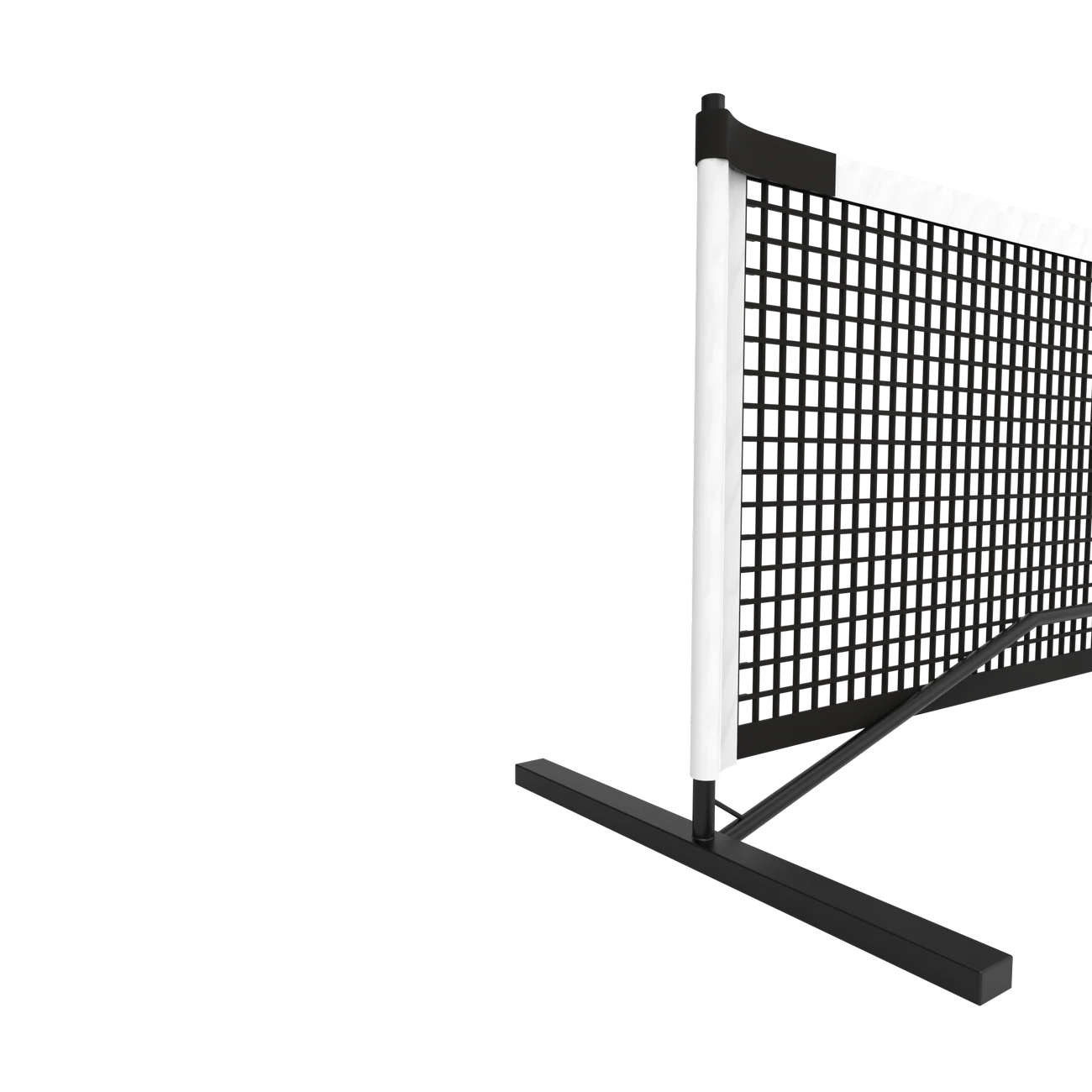 PORTABLE DRIVEWAY PICKLEBALL SYSTEM