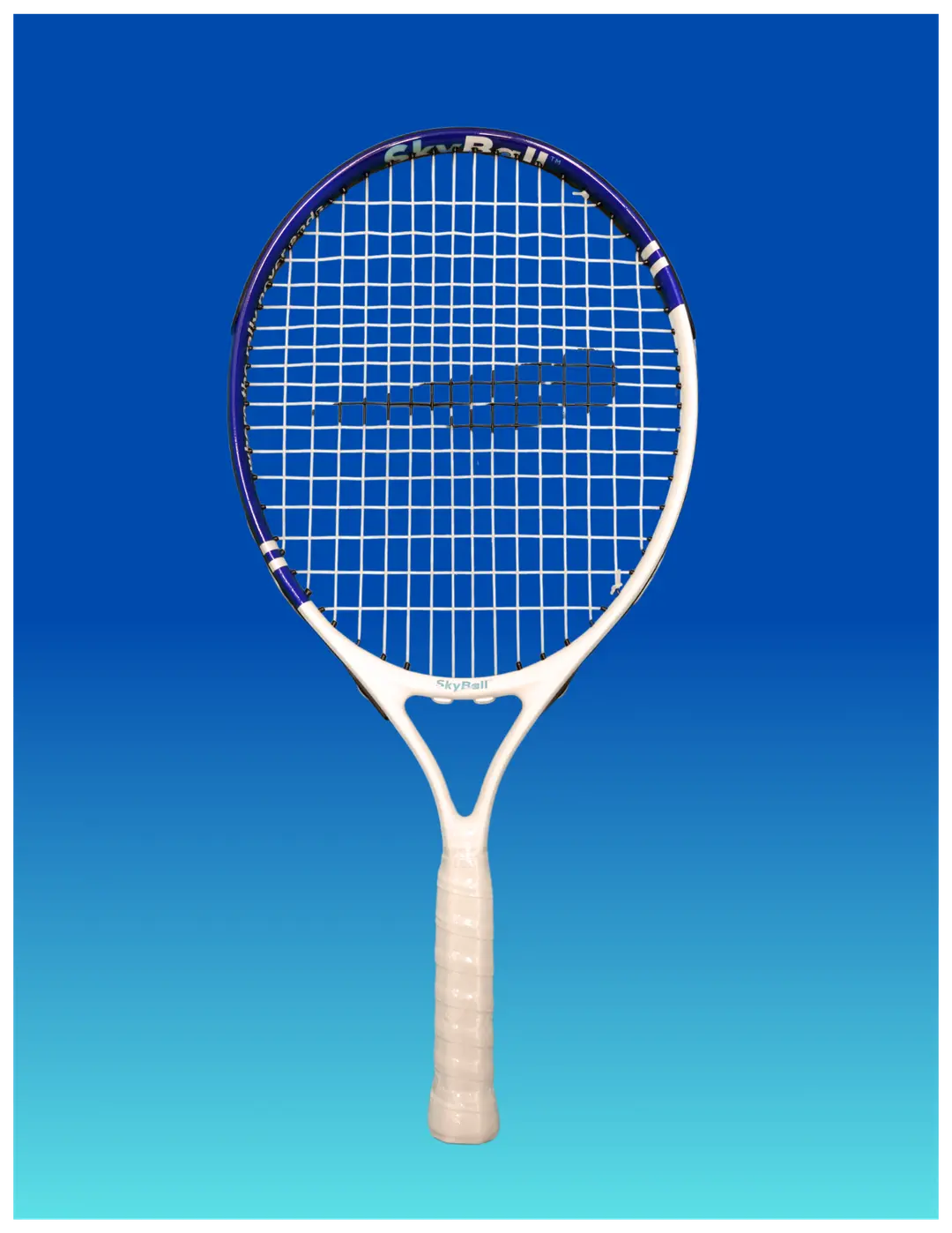 SkyBall Racket Pro